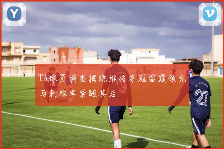 TA球员调查揭晓谁将夺冠雷霆领先马刺绿军紧随其后